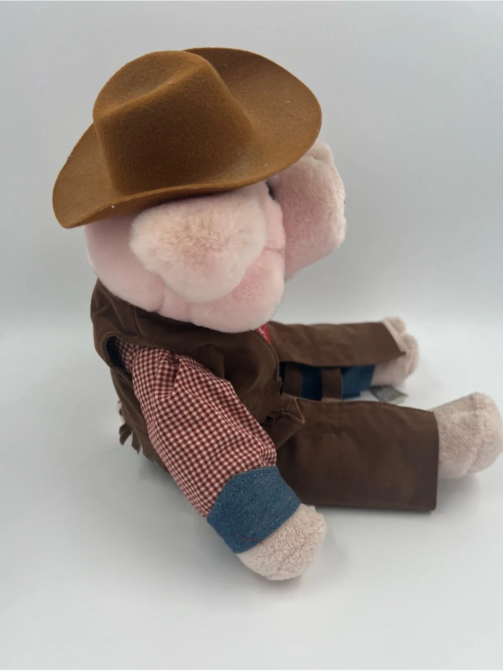 Aurora hammy cowboy